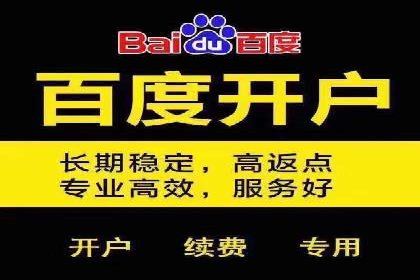 SEO与百度推广结合的营销策略——经典案例解析